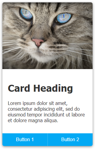 Card - Default